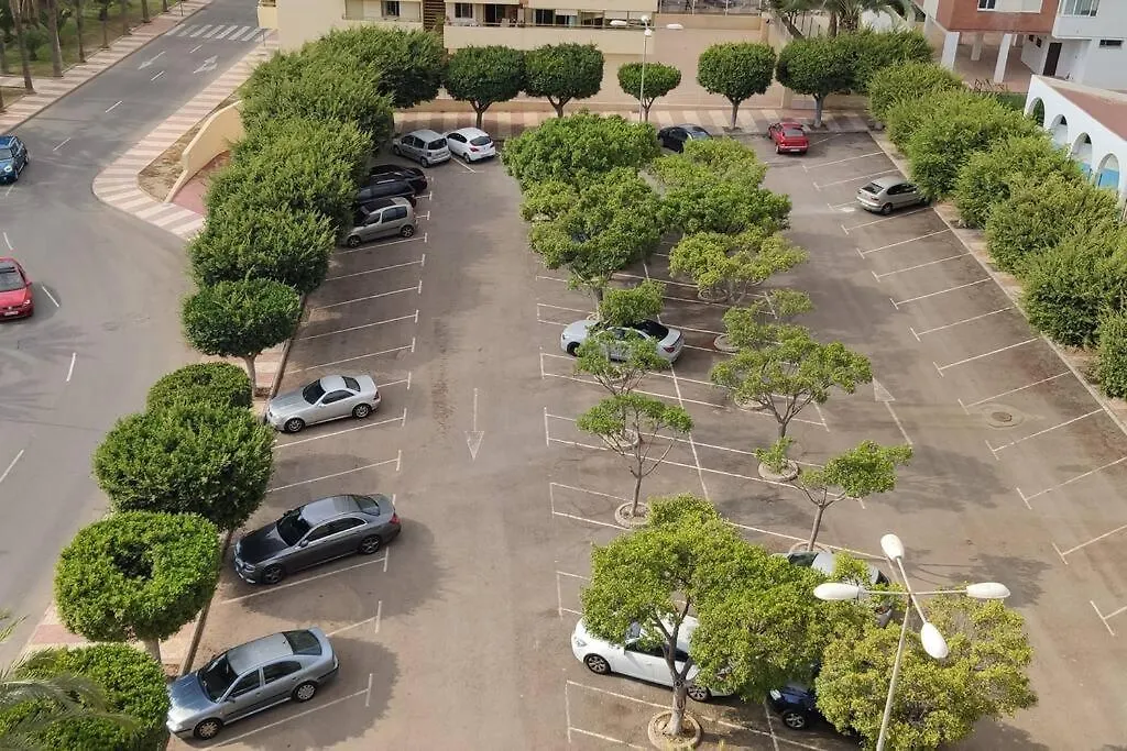 Atico Palmeral Almería