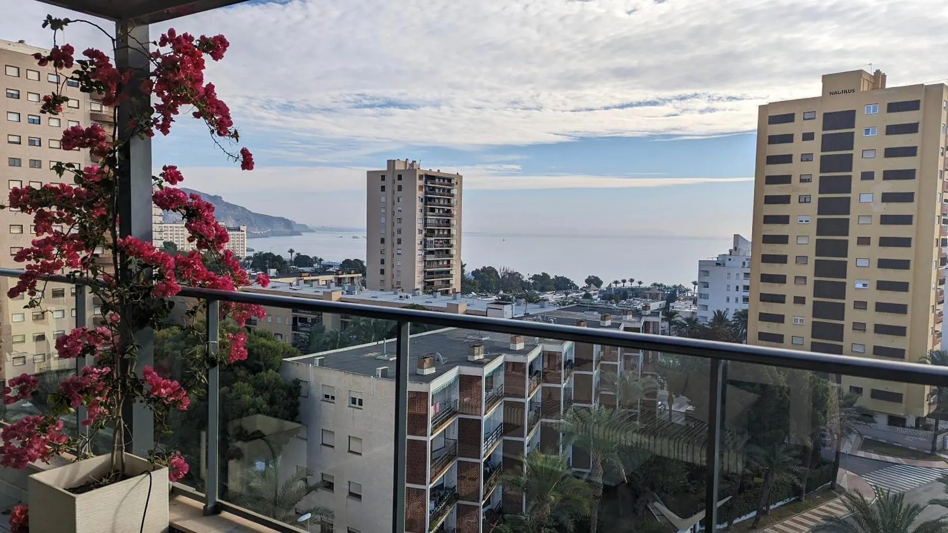 Atico Palmeral Almería